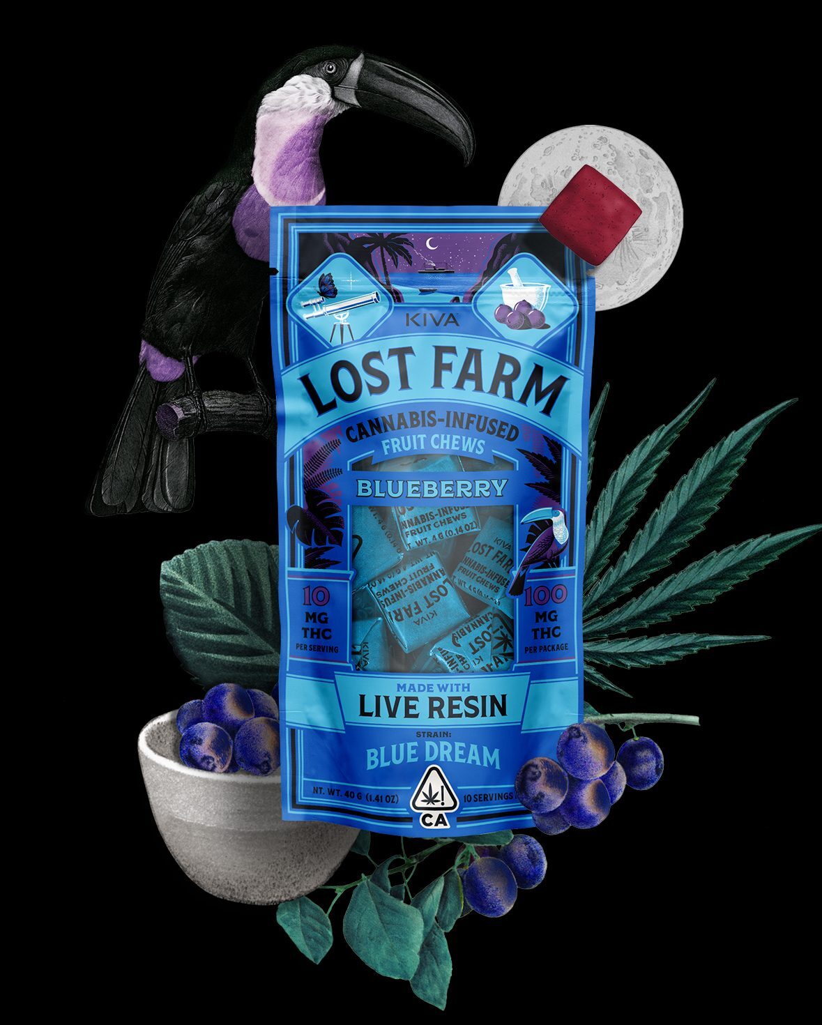 lost farm